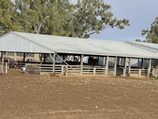 shed 1